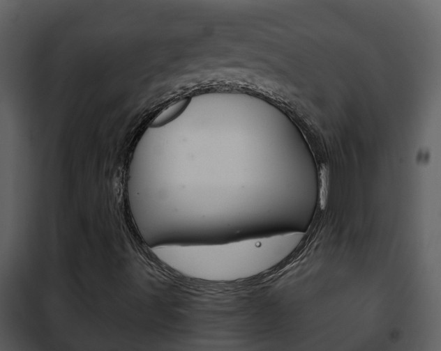 X0000101971491200807180713