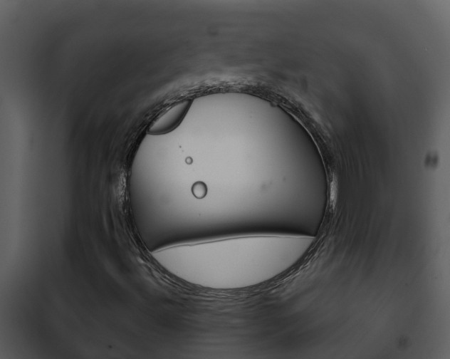 X0000101971492200807180713