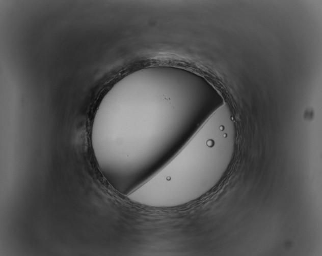 X0000101971493200807180713