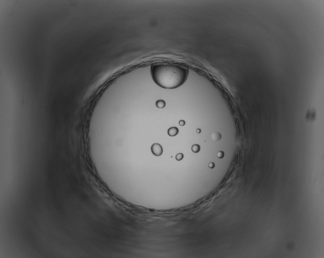 X0000101971496200807180713