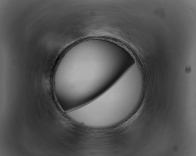 X0000101971497200807180713