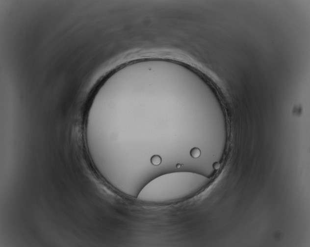 X0000101971498200807180713