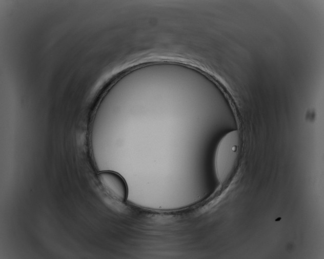 X0000101971499200807180713