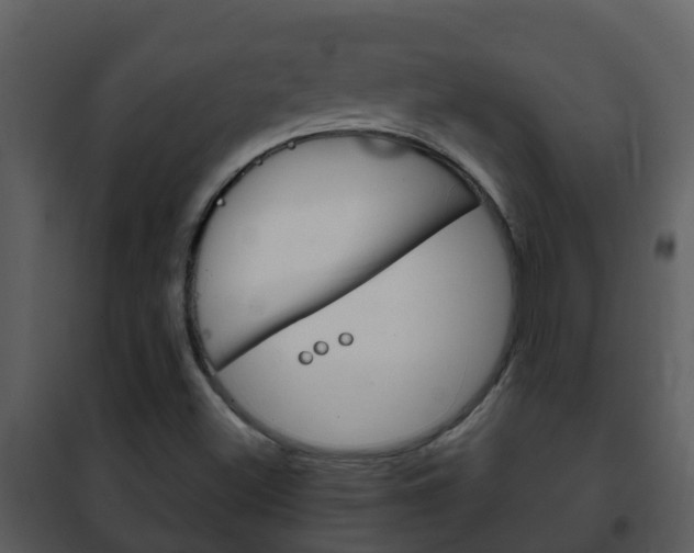 X0000101971500200807180713