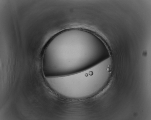 X0000101971501200807180714