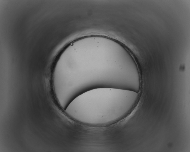 X0000101971502200807180714