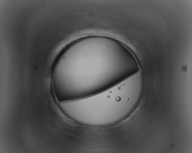 X0000101971503200807180714