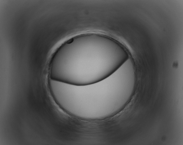 X0000101971504200807180714