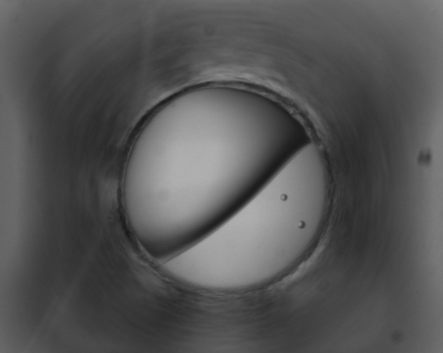 X0000101971505200807180714