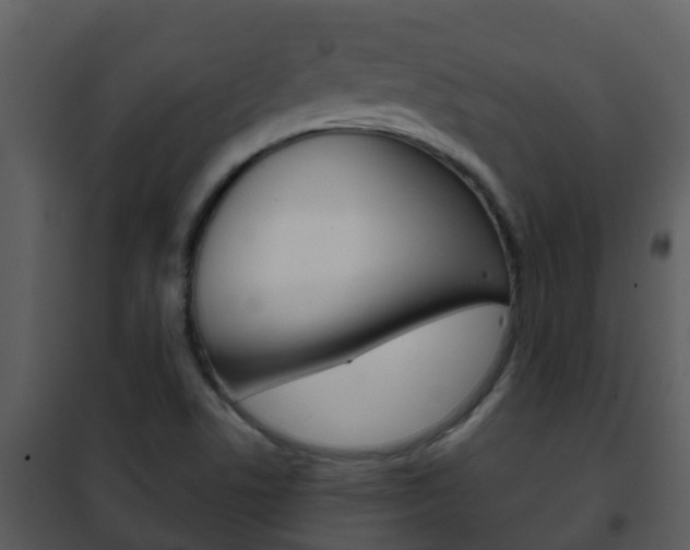 X0000101971506200807180714