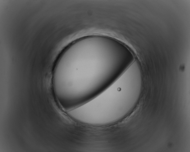 X0000101971507200807180714