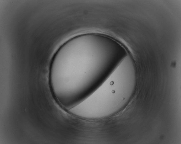 X0000101971508200807180714