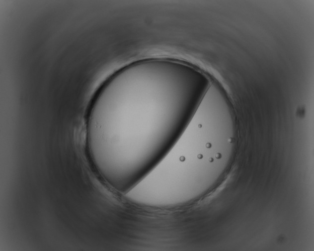 X0000101971509200807180714