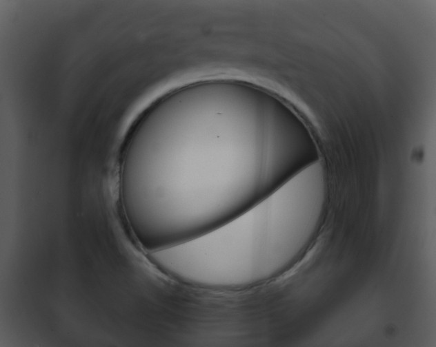 X0000101971510200807180714