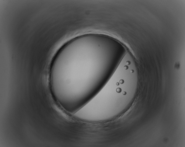 X0000101971511200807180714