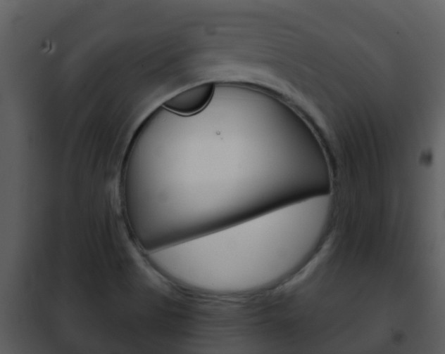 X0000101971513200807180714