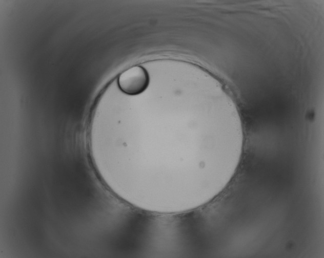 X0000101971514200807180714