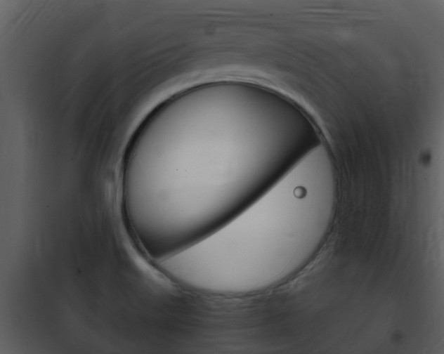 X0000101971515200807180714