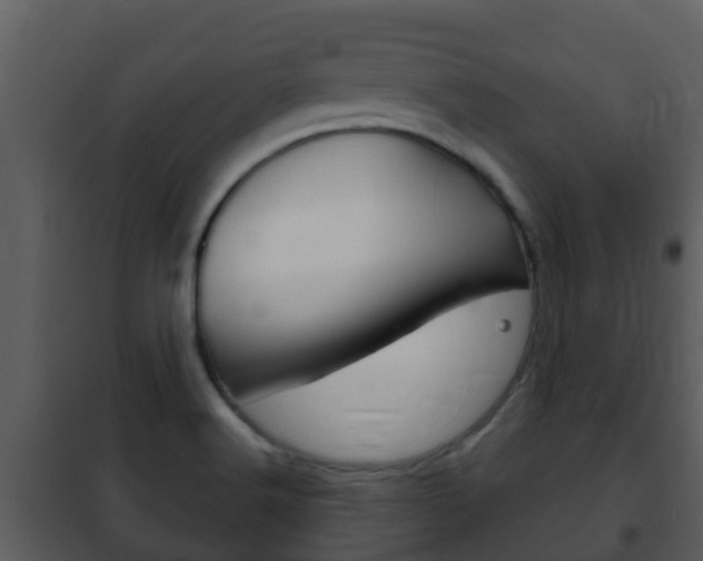 X0000101971516200807180714