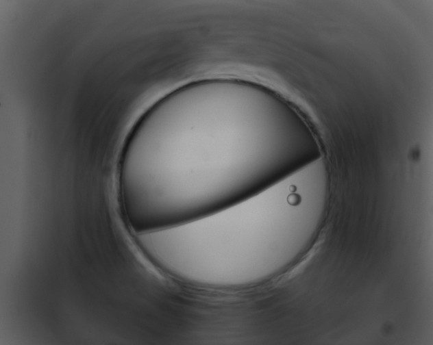 X0000101971517200807180714