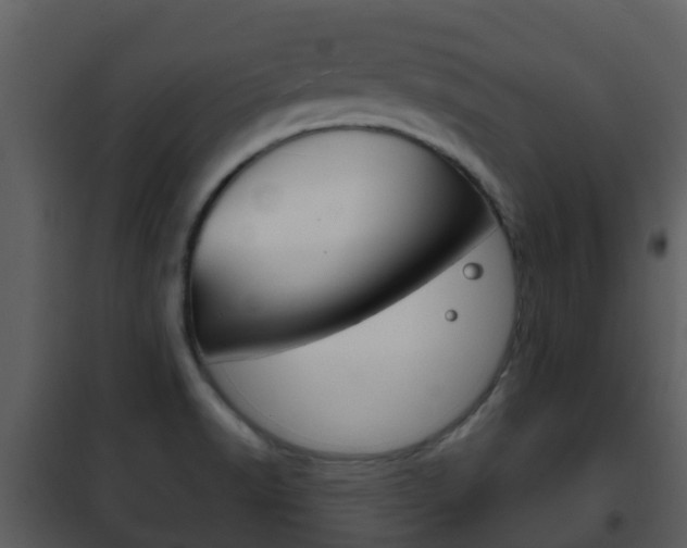 X0000101971518200807180714