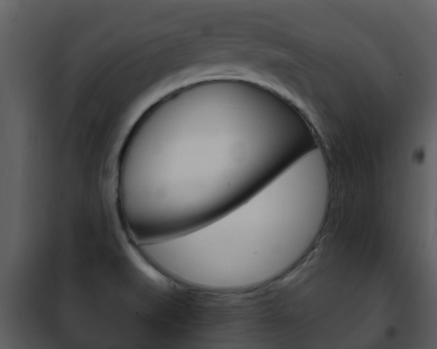 X0000101971519200807180714