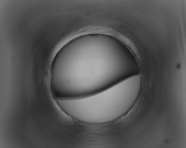 X0000101971520200807180714