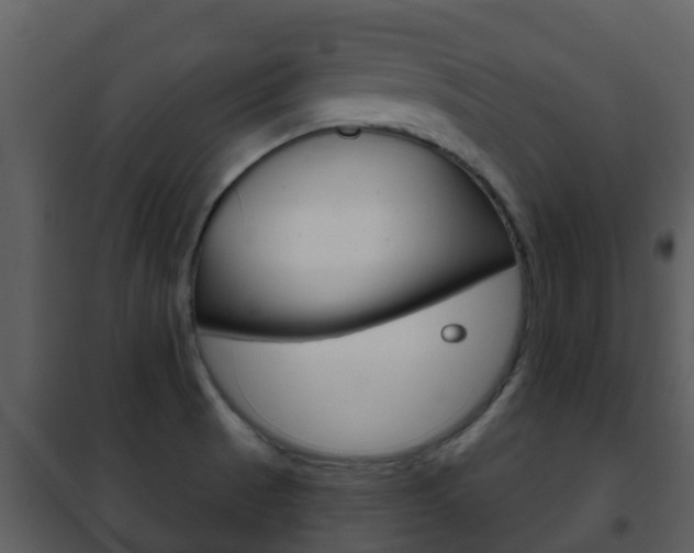 X0000101971521200807180714
