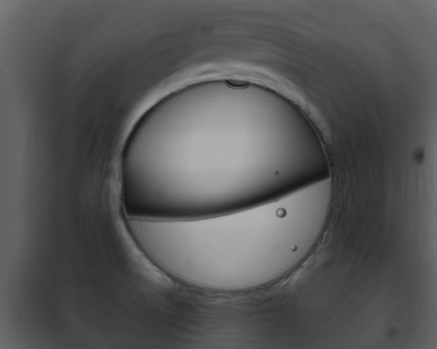 X0000101971522200807180714