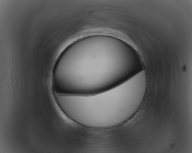 X0000101971523200807180714
