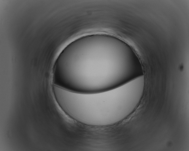 X0000101971524200807180714