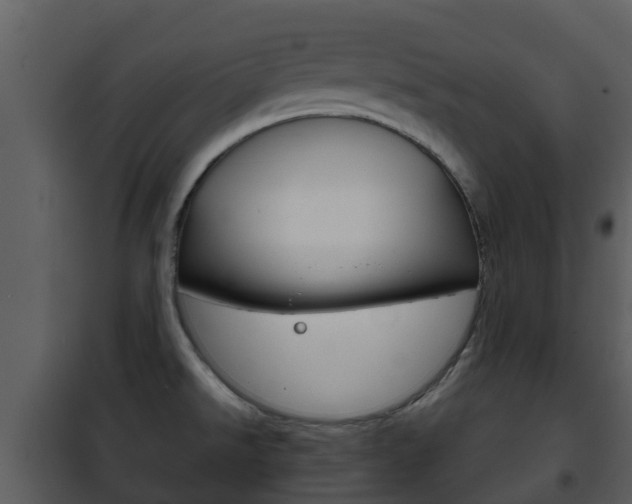X0000101971526200807180714
