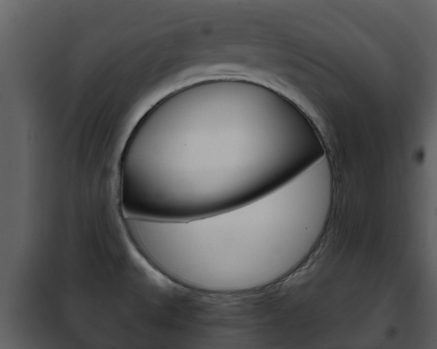 X0000101971527200807180714