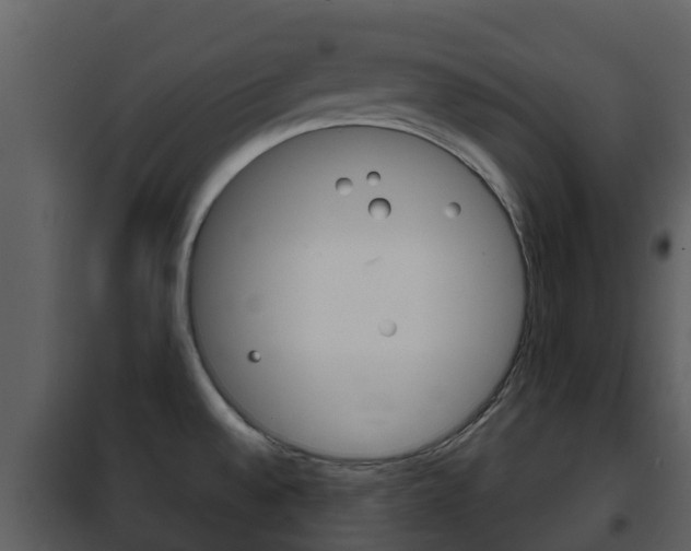 X0000101971528200807180714