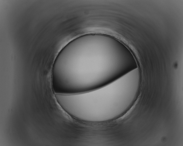 X0000101971529200807180714
