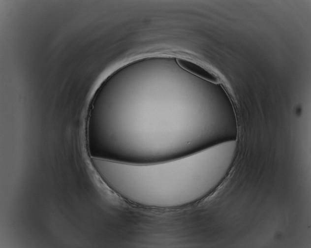 X0000101971530200807180714