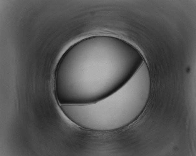 X0000101971531200807180714