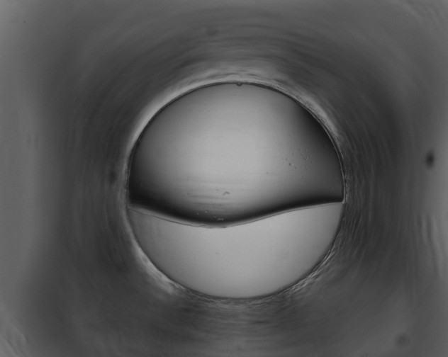 X0000101971532200807180714