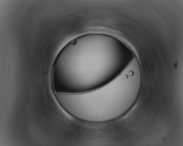 X0000101971533200807180714
