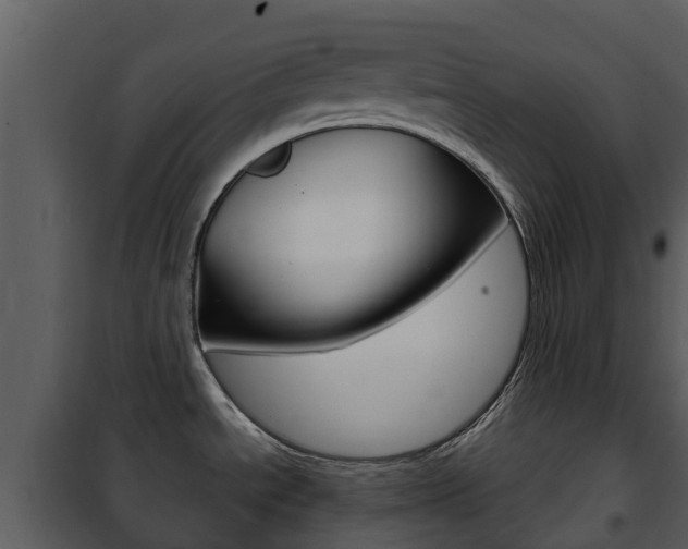X0000101971534200807180714