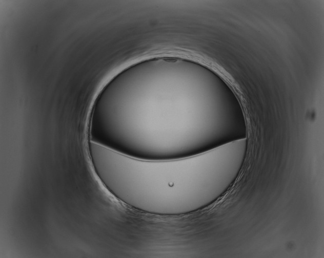 X0000101971536200807180714