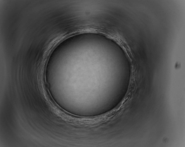 X0000101970001200807181116