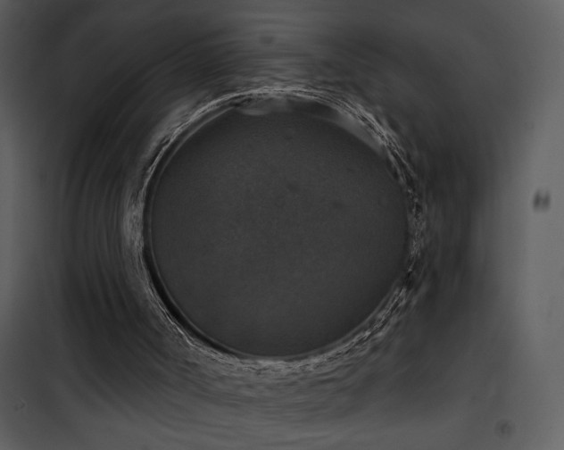 X0000101970002200807181116