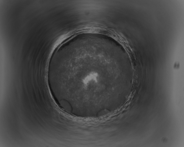 X0000101970003200807181116