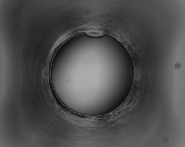 X0000101970004200807181116