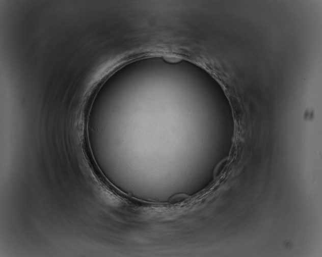 X0000101970005200807181116