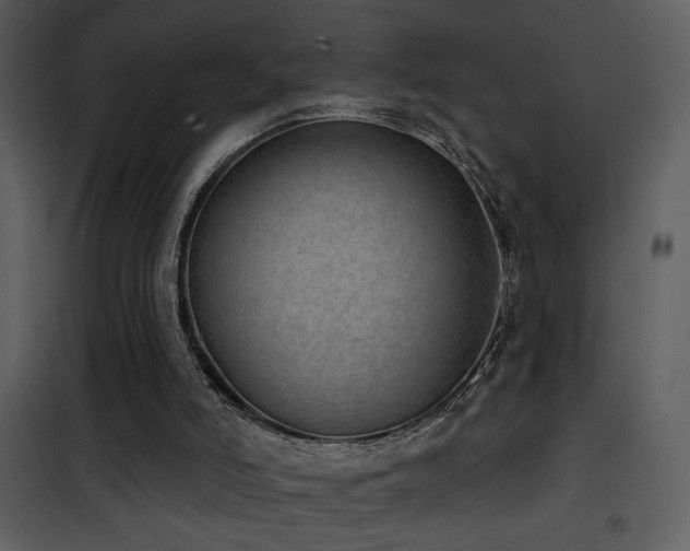 X0000101970006200807181116