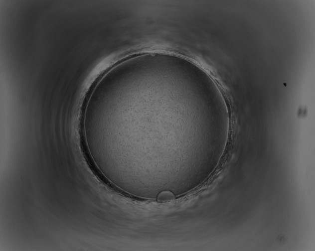 X0000101970007200807181116