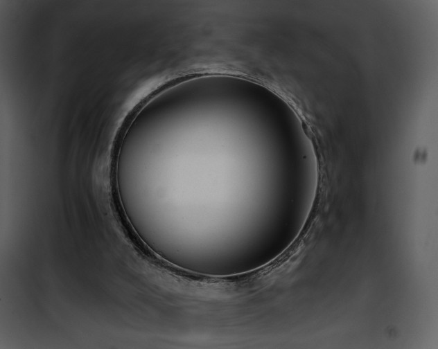 X0000101970008200807181116