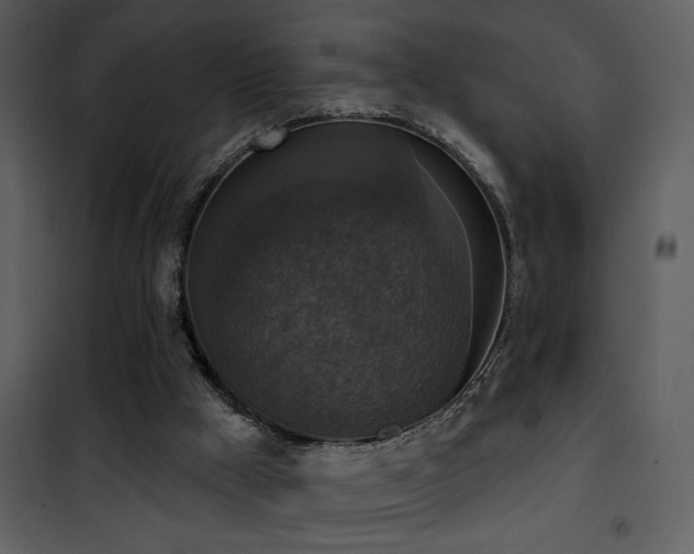 X0000101970009200807181116